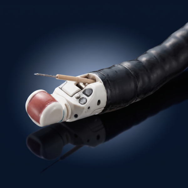 Vidéo échoendoscope Radial Olympus